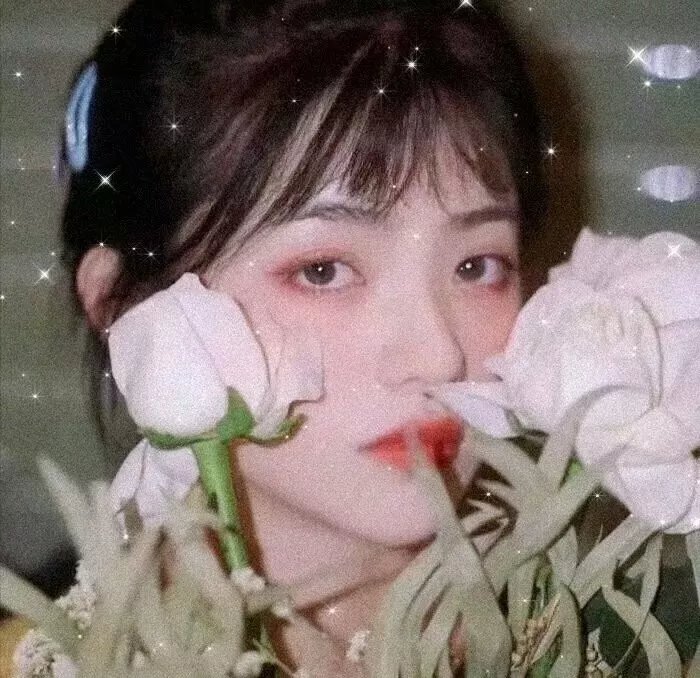 飞鸟集2021